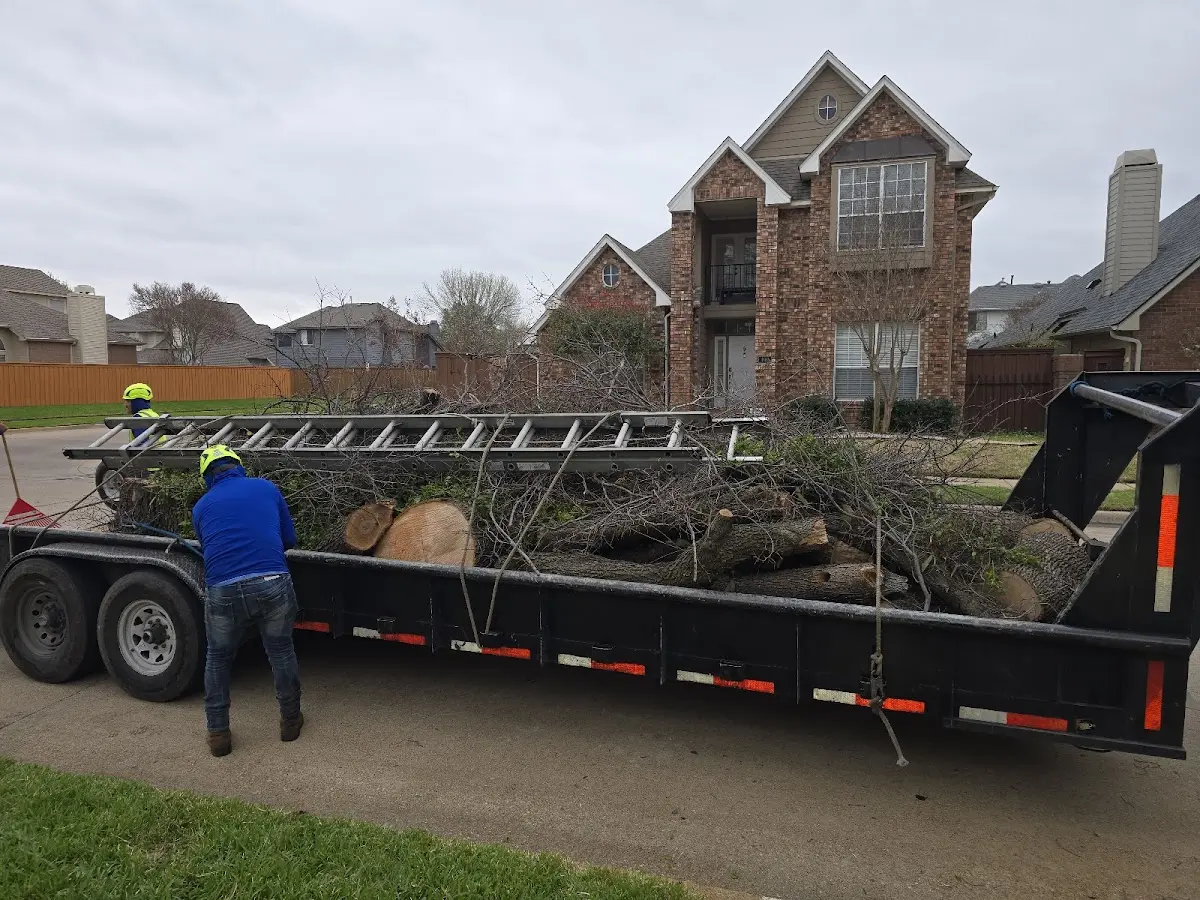 Expert Tree Fertilization with proper safety equipment in Zalma